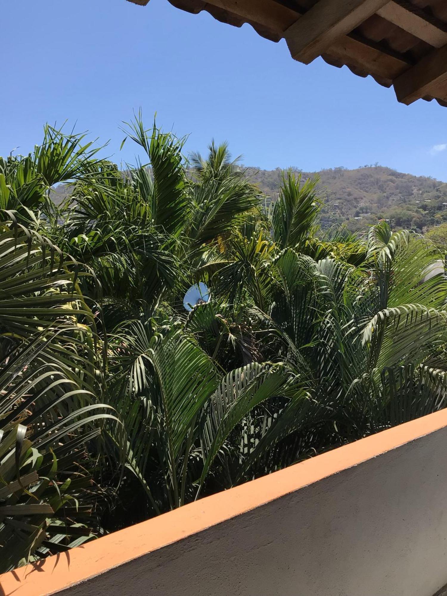Hotel Villa Tulipanes Zihuatanejo Exterior photo